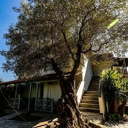 ヴィラ Casa Villa, Xenia パリウリ