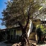 וילה Casa Villa, Xenia פאליאורי