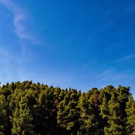 Casa Villa, Xenia Paliouri