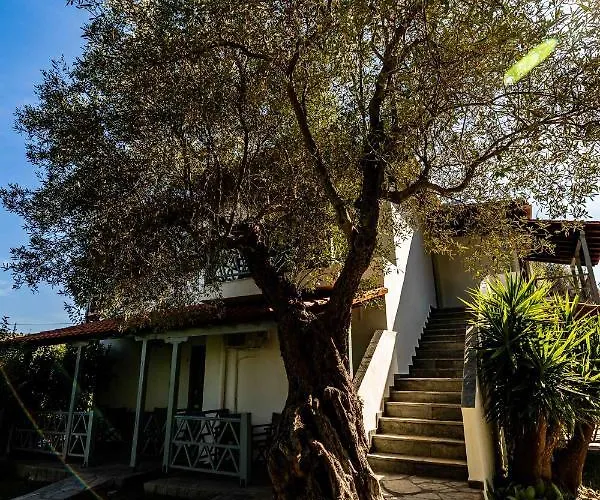Βίλα Casa Villa, Xenia Παλιούρι
