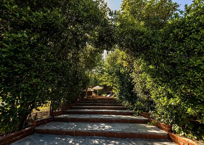 Βίλα Casa Villa, Xenia Παλιούρι